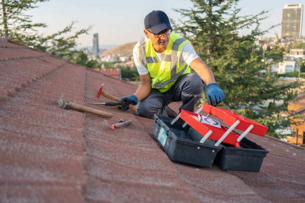 Best Carpet Removal and Disposal  in Green Valley, AZ